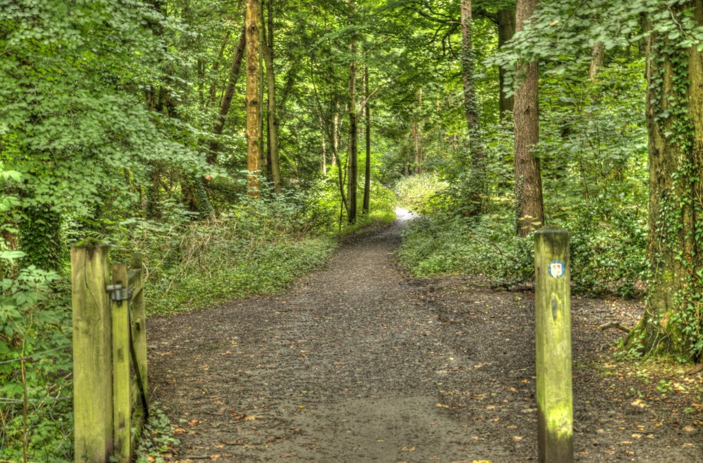 Towpath What Does Lie Ahead